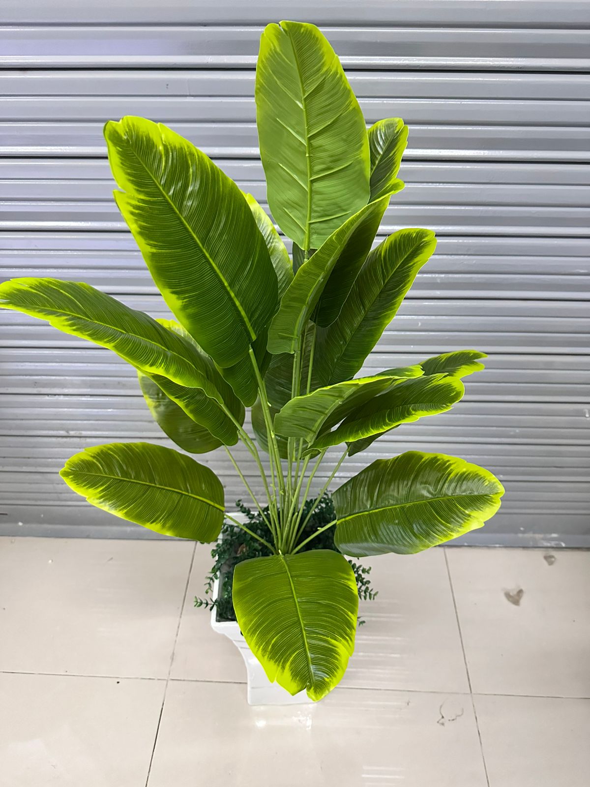 Planta Artificial | Viajera | x18 Hojas | Base de Trupán